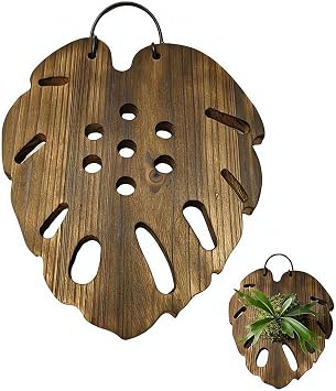 Orchids Fern Mounting kit,Wall Hanging Board Vertical Plant Holder,Wood Orchid Wall Planter for Orchids-Staghorns Fern Tropical Plants