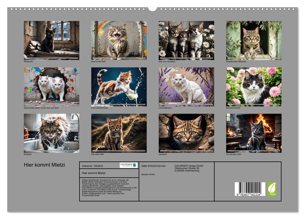 Hier kommt Mietzi (hochwertiger Premium Wandkalender 2026 DIN A2 quer), Kunstdruck in Hochglanz: Ein Kalender mit frechen Katzen, jeden Monat neu! (CALVENDO Tiere)