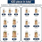 Métrique & SAE Kit d'assortiment d'écrous de rivet(420 Pcs),m3 m4 m5 m6 m8 m10 M12#6-32#8-32 #10-24 1/4"-20 5/16"-18 3/8"-16 UNC Ensemble de rivets à tête plate, Finition zinc plaquée en acier au carbone