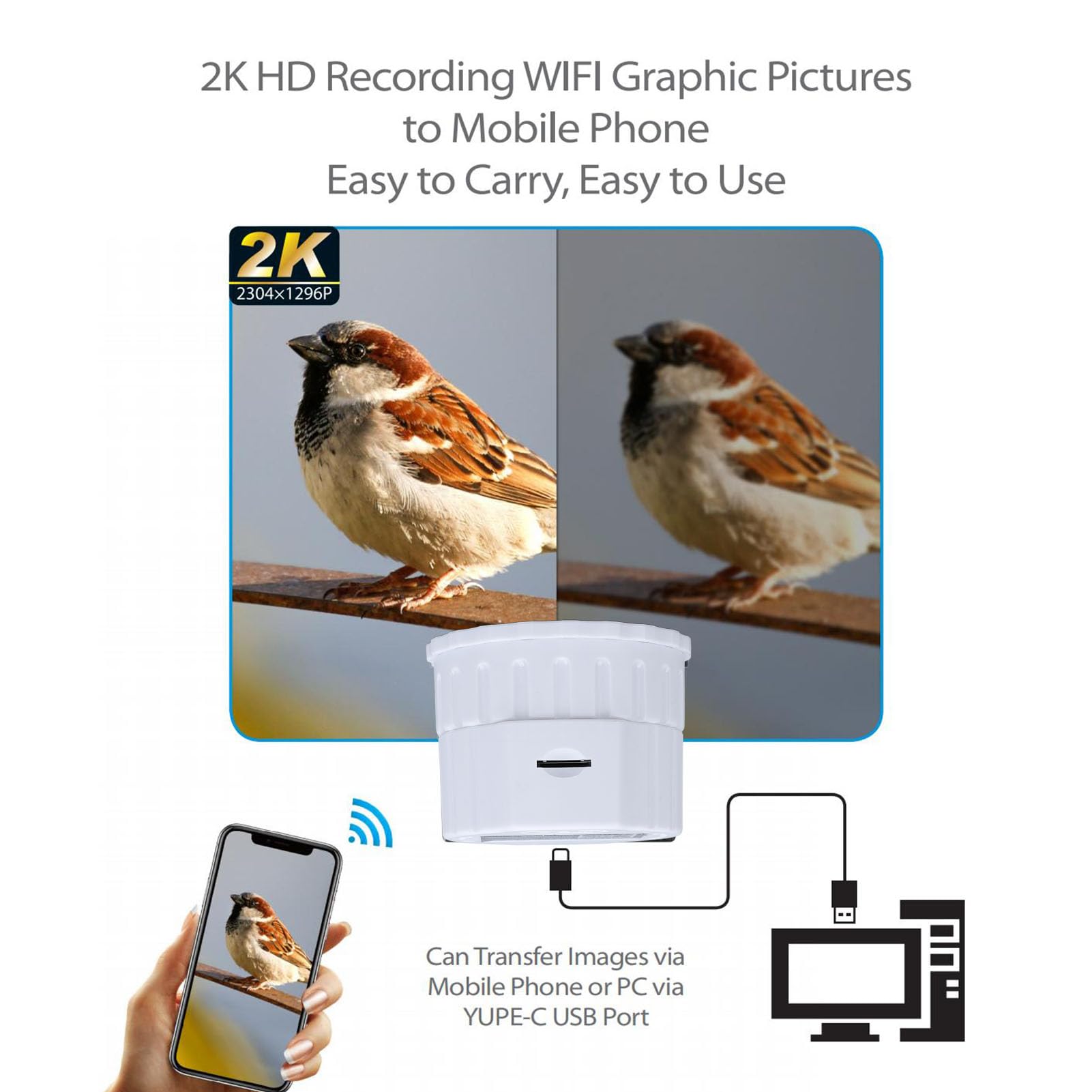Ocular Digital Inalámbrico WiFi, Ocular Electrónico Inalámbrico Compatible con Grabación de Vídeo 2K y Fotos de 40 MP, Cámara Telescópica Digital para Telescopios de 30 Mm a 50