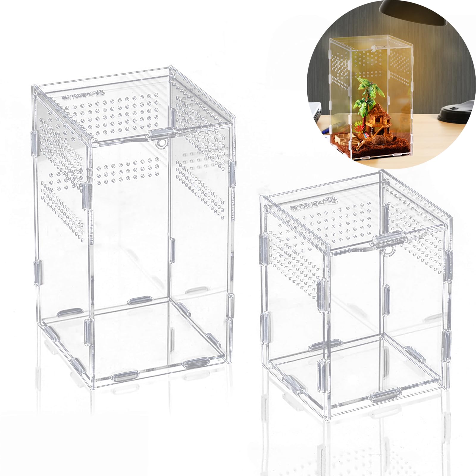 BigKing 2 cajas de alimentación para reptiles, terrario acrílico para reptiles, caja de cría de reptiles transparente utilizada para hacer tanques ecológicos para criar reptiles e insectos