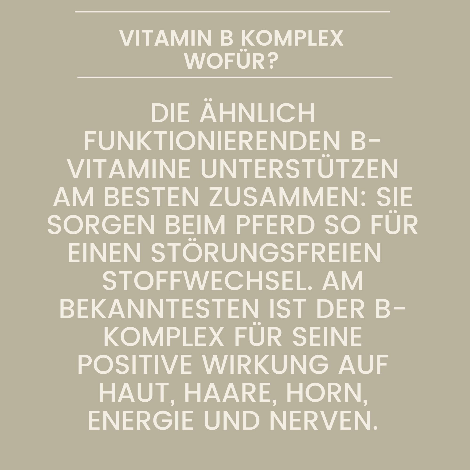 Complejo vitamínico B Caballo 1L Líquido I Vitamina B Altamente dosificada con B1 B2 B6 B12 vitaminas B El Complejo vitamínico B favorece la Musculatura el Sistema inmunitario metabolismo nervioso
