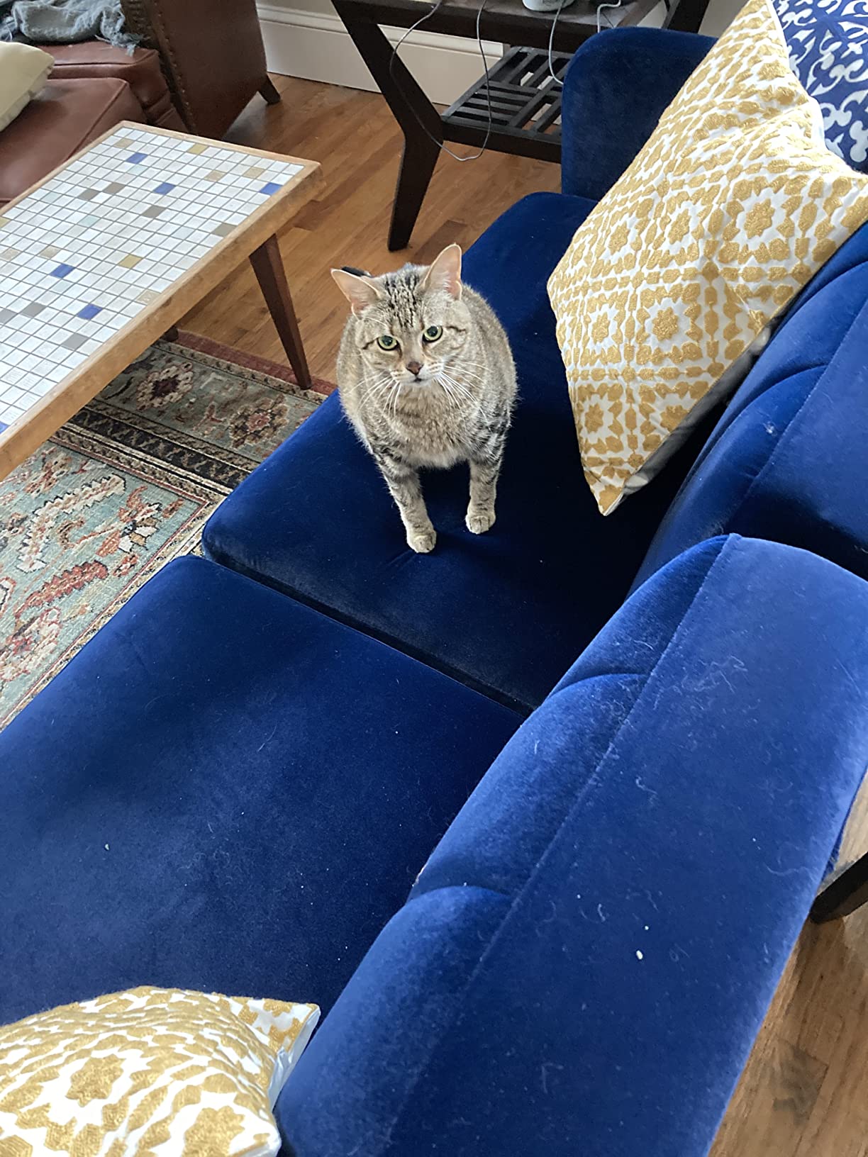 39/mo Finance Milliard Futon Sofa Bed, Sleeper Sofa Couch, Grey