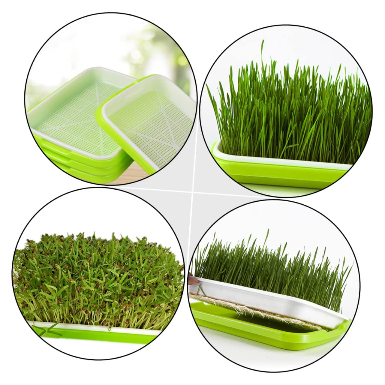 BESPORTBLE 5 Pièces Plateau de Germination Hydroponique Plateaux de Culture Sol Plateau de Germination Pratique
