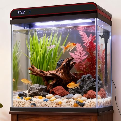 Coospider 10 Gallon Glass Fish Tank, Aquarium Starter Kit - Self-Cleaning with 3-Color LED Lights, Ultra-Quiet Pump & Filter, Smart Temperature Monitoring for Betta, Shrimp, Gift Idea