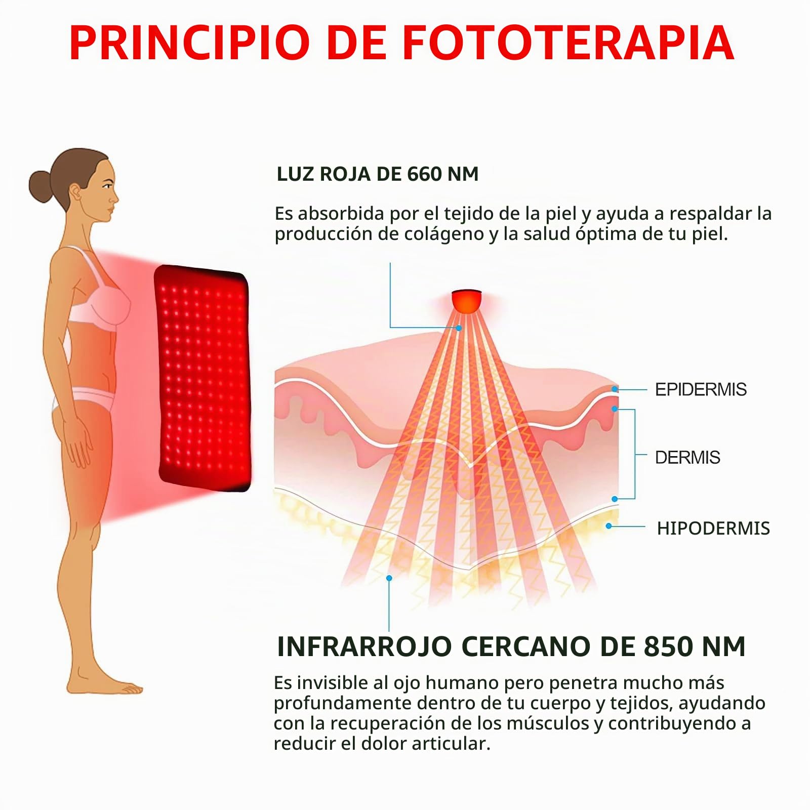 NGARY Estera De Terapia De Luz Roja LED De 360 ​​Piezas para El Cuerpo | Almohadilla Envolvente Grande De Terapia De Luz Roja Con Luz Roja De Luz Infrarroja Cercana De 660 Nm Y 850 Nm