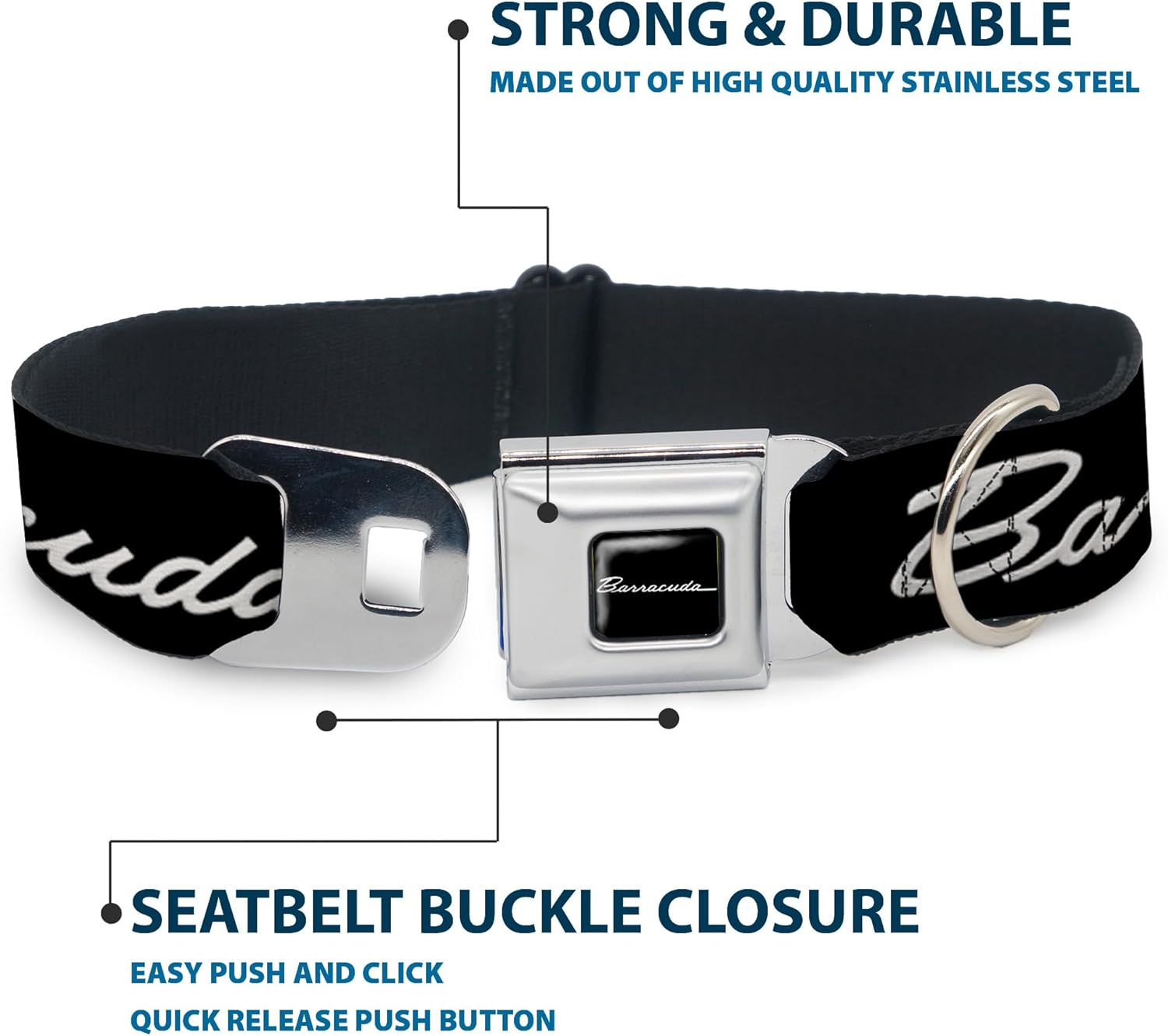 Dog Collar Seatbelt Buckle Barracuda Script Logo Black Silver 9 to 15 Inches 1.0 Inch Wide