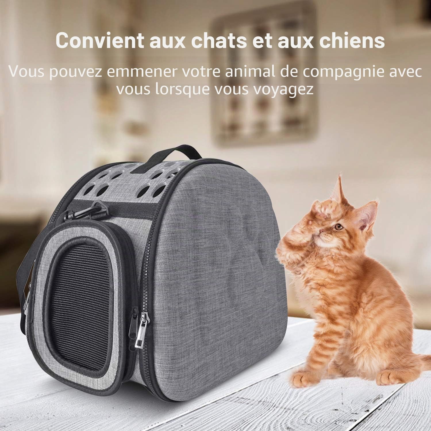 Sac de Transport pour Chat Cage Sac de Lapin Caisse Voyage pour Chat Chien Petit Transporteur de Chat Caisse de Transport pour Petits Animaux Respirable Démontable Lavable Pliable