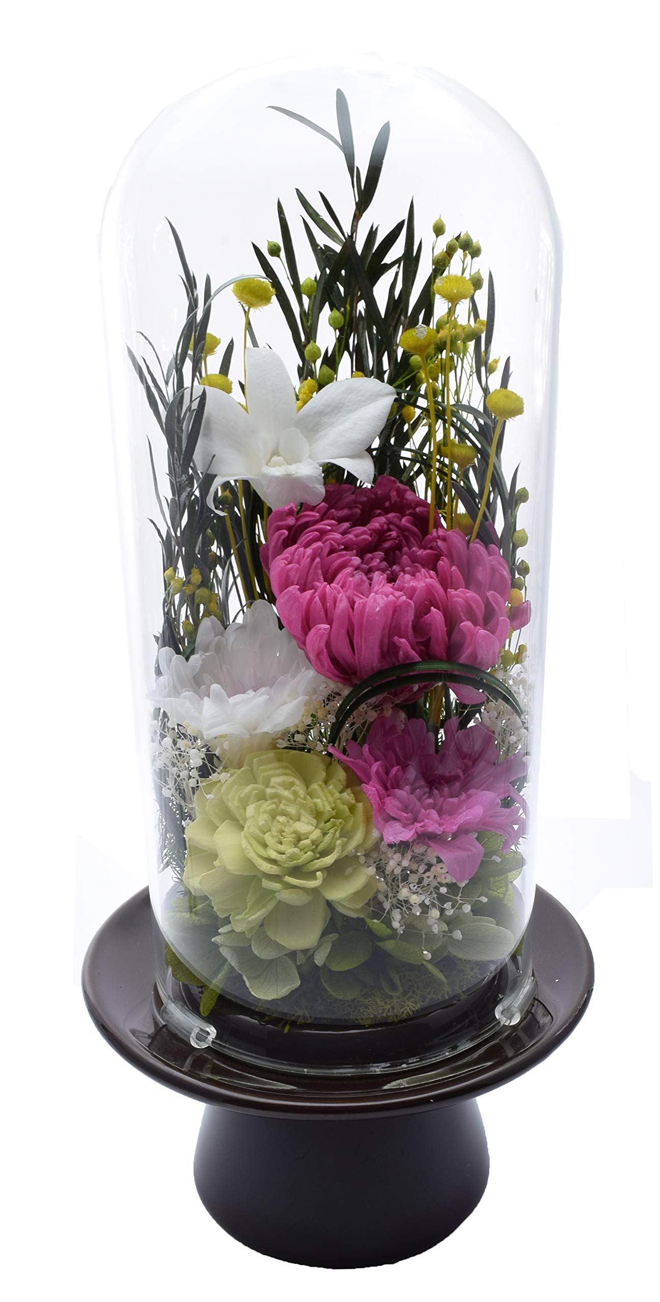 Amazon｜お供え プリザーブドフラワー 大型ガラス ドーム 桃華 仏花 お