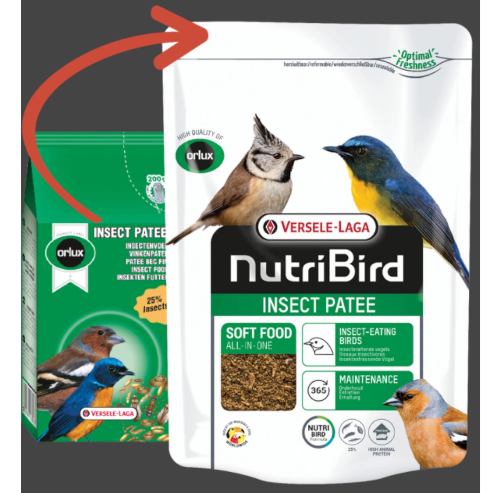 Nutribird Insect Patee Insetti 1kg