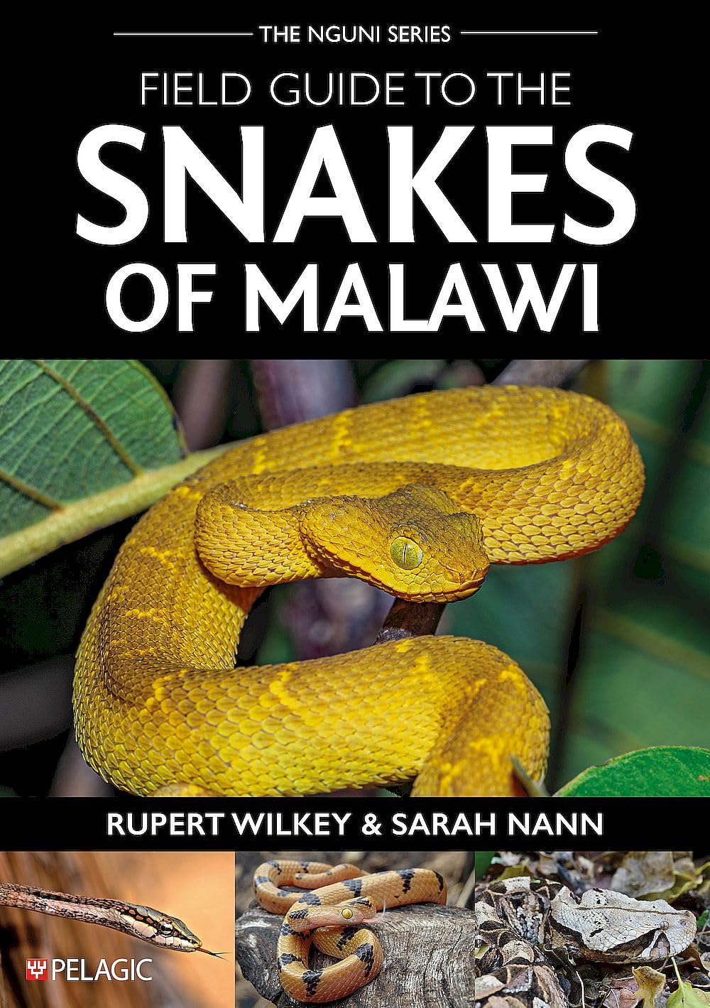 Field Guide to the Snakes of Malawi (Pelagic Identification Guides)