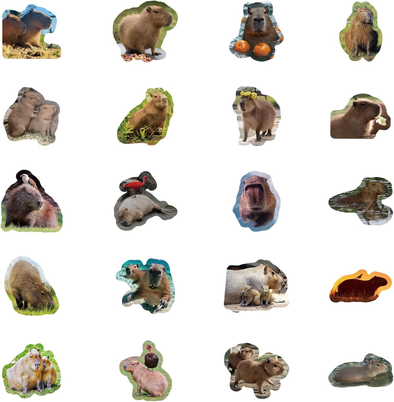120pcs Capybara Stickers Pack, Aesthetic Vinyl Waterproof Cute Cartoon Stickers Bulk for Scrapbook Laptop Luggage Water Bottle Tooth Shaped Graphics Decals for DIY Decor