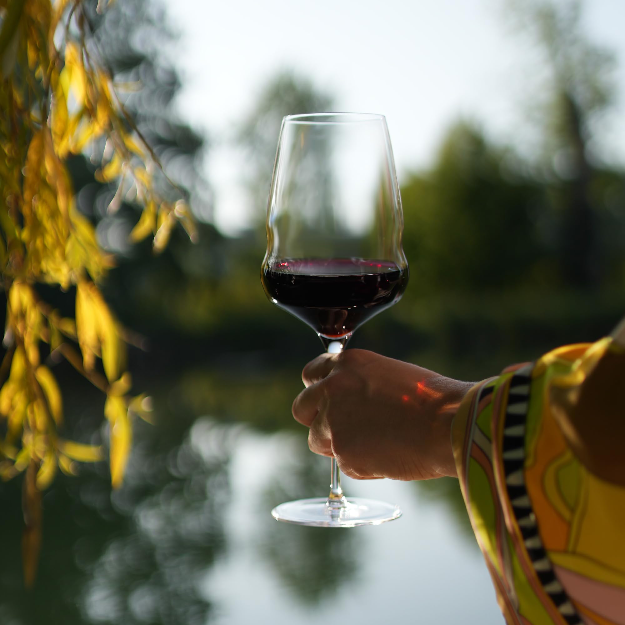 Stölzle Lausitz Cocoon - Juego de 6 copas de vino multiusos de 20 onzas (6 unidades) – Cristalería duradera apta para lavavajillas, cristalería contemporánea con tallo – Colección de copas de bar sin