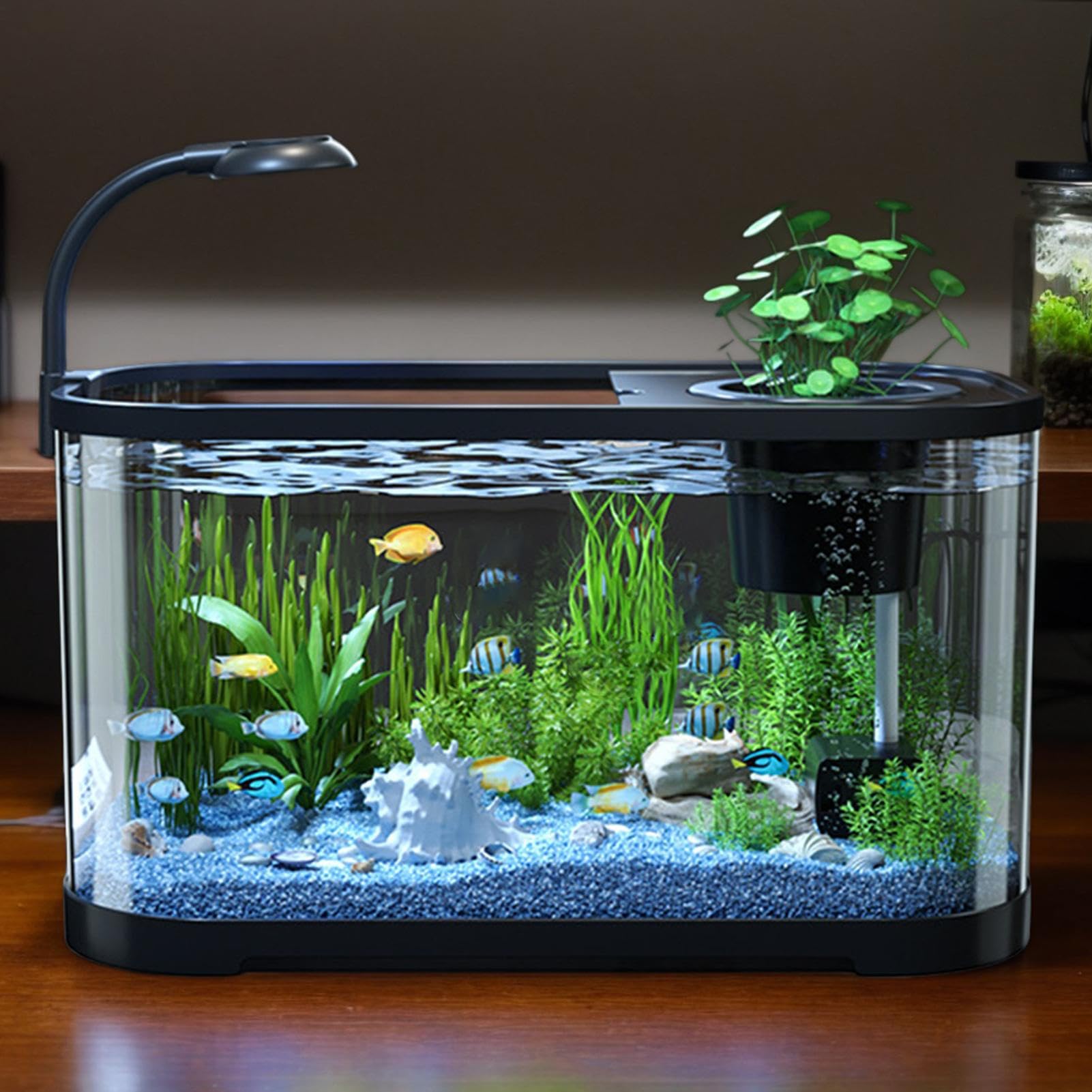 Kit De Inicio Acuario Pequeño Vidrio Nano Transparente Decorativo pequeño | Pecera Para Principiantes Para Betta, Galápago, Tortuga, Rana, Y Otras Mascotas Acuáticas