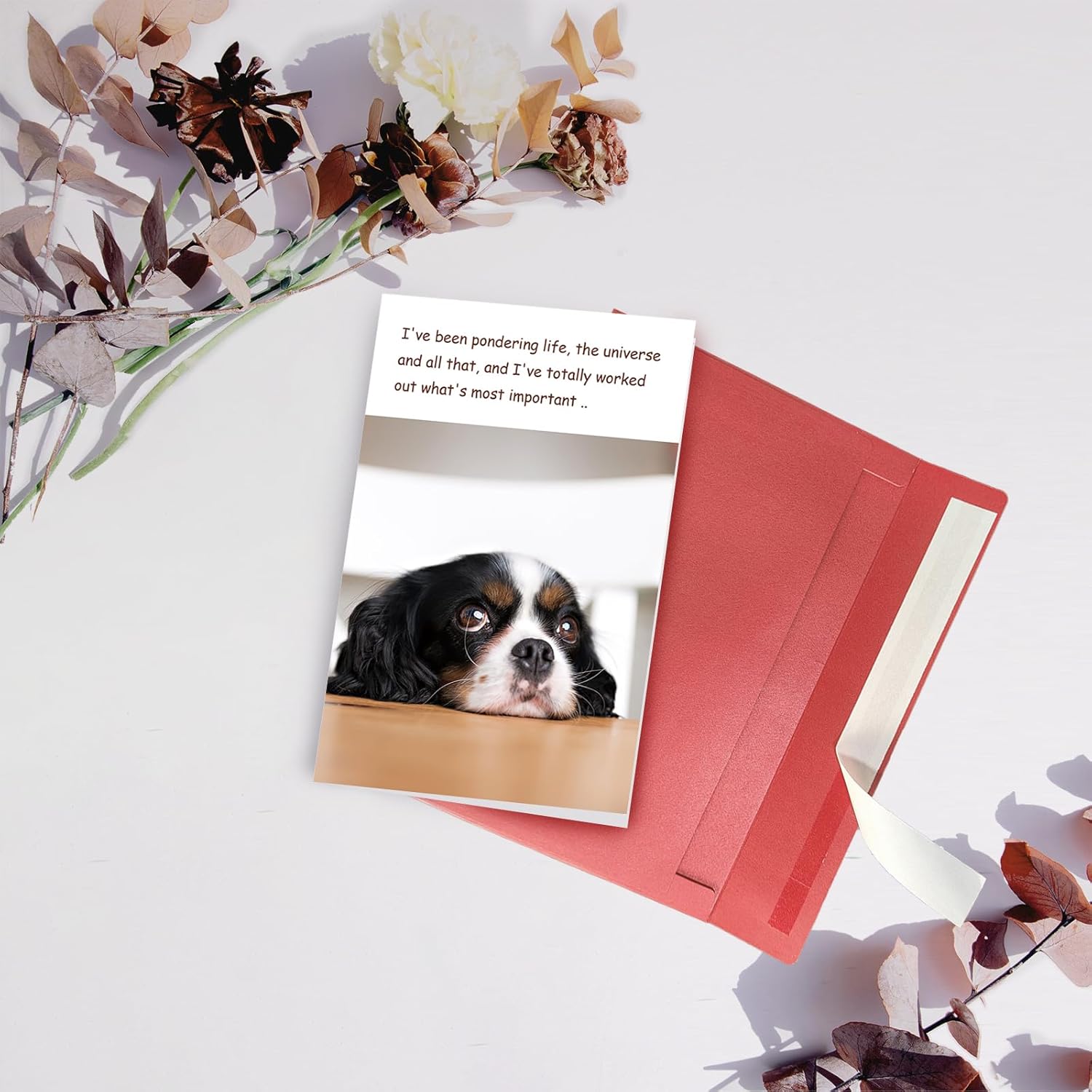 Funny Dog Birthday Card, Humorous Birthday Gift Idea for Dog Lovers, Happy Birthday Card from Doggy - Image 6