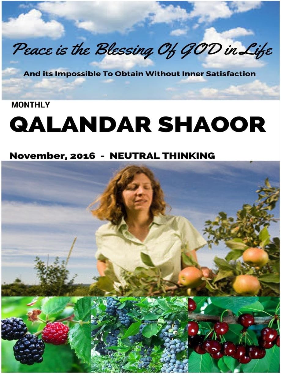 Monthly Qalandar Shaoor: November, 2016 - Neutral Thinking Paperback – 11 Nov. 2016