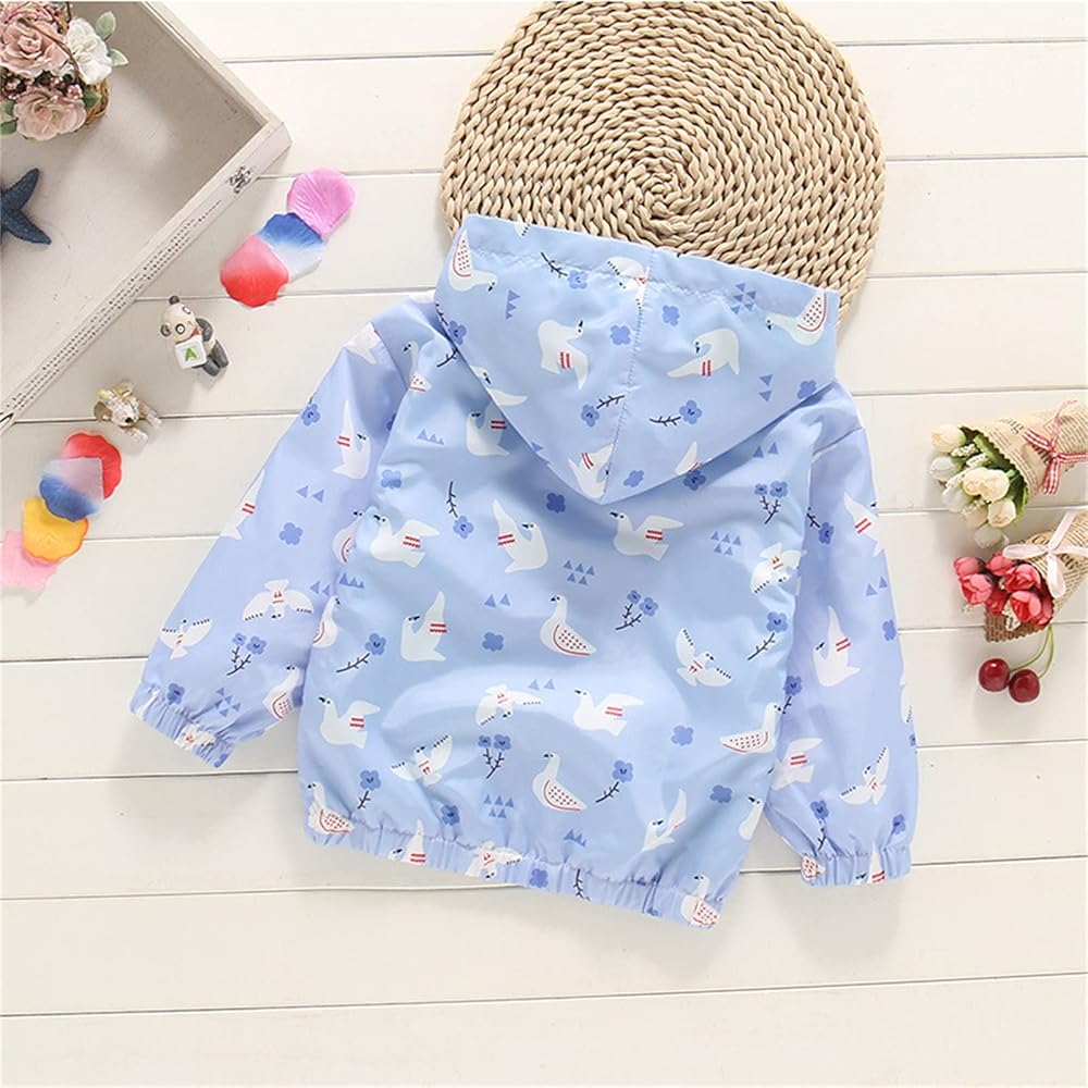 Amazon.com: Baby Boy Girl Clothes Zip Hoodie Windbreaker