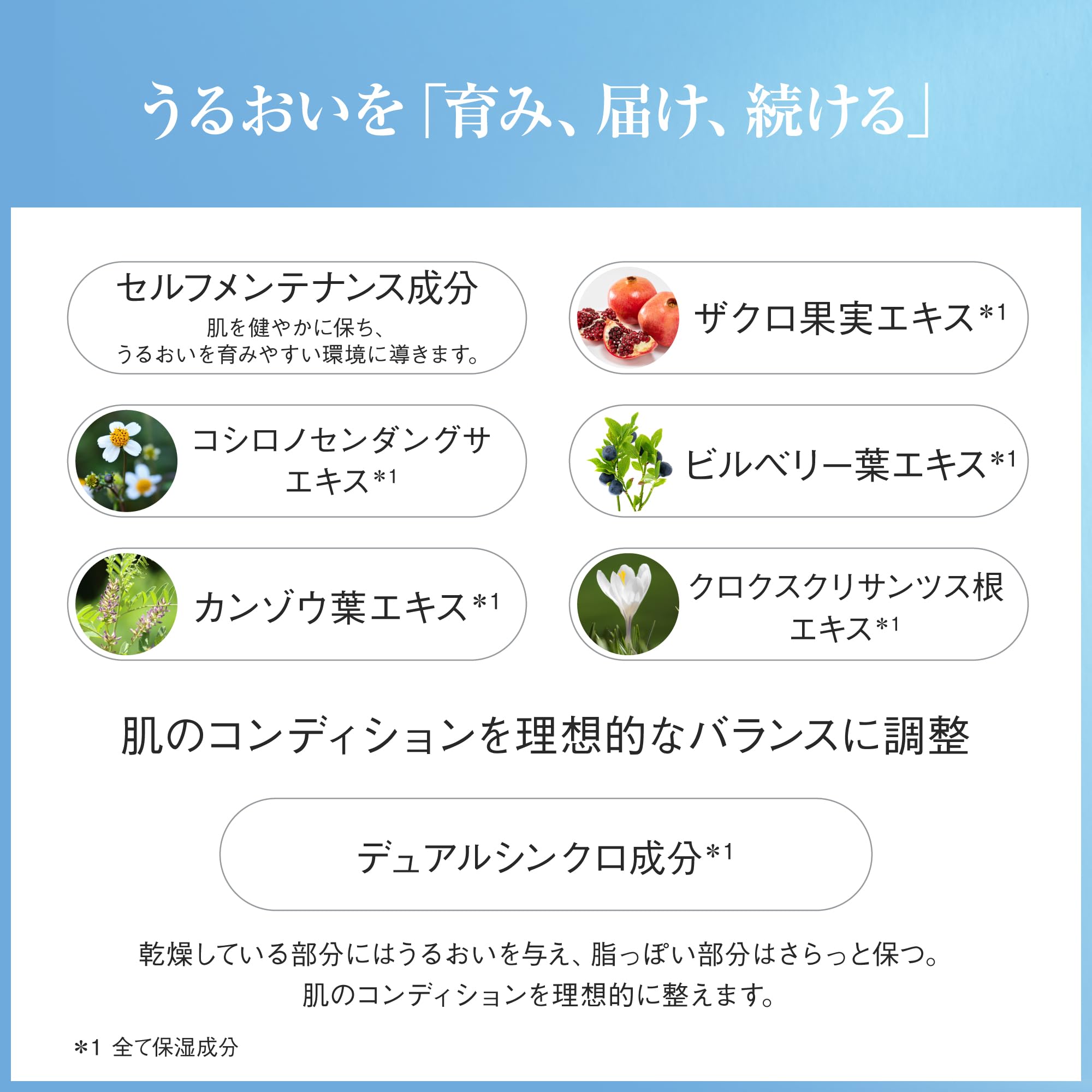Amazon | アユーラ(AYURA) 【通販限定】スキンケアキット おまけつき 