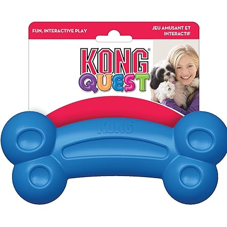 kong quest foragers