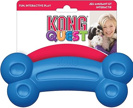 kong quest