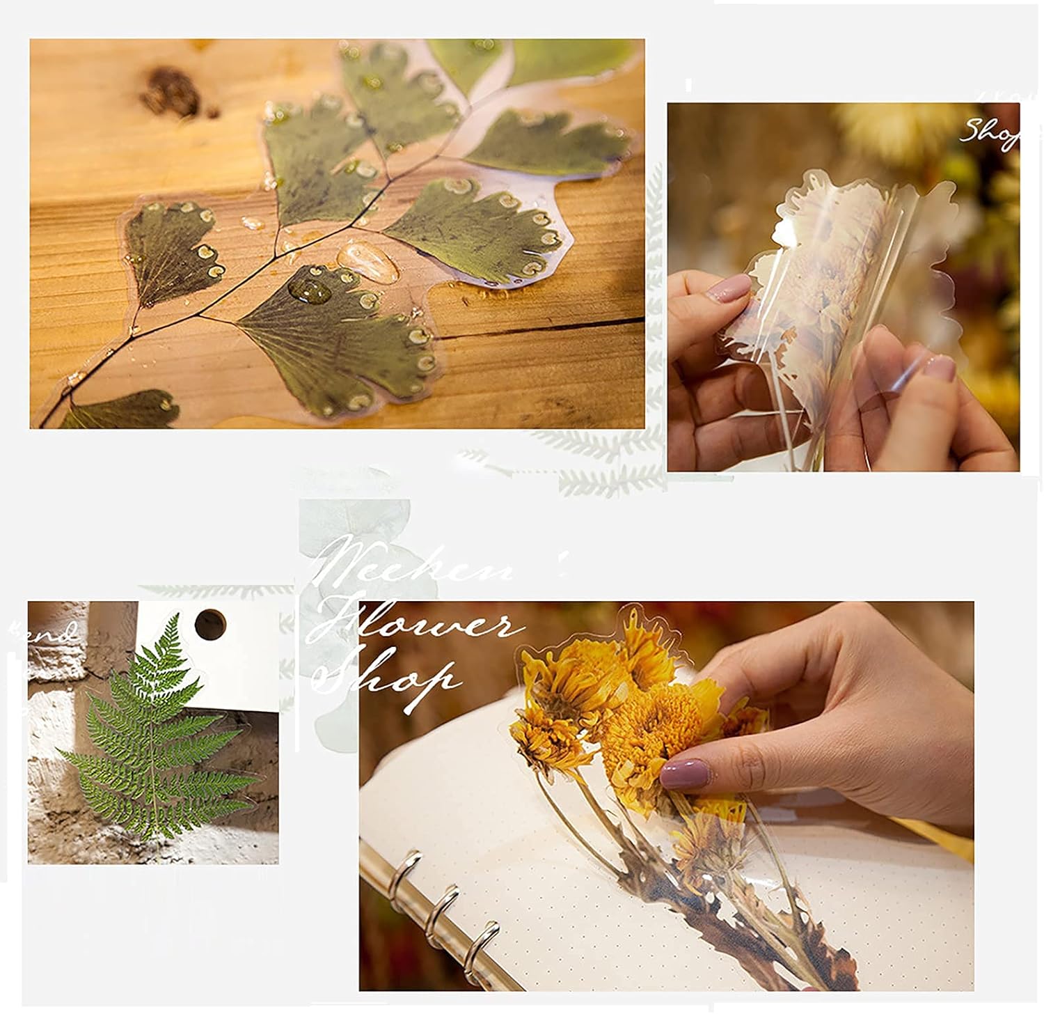 Transparent Waterproof Stickers Set - MAXLEAF 48PCS Vintage Plants Flowers Collection Big Size Waterproof Stickers for Decoration Planners Scrapbook Laptops (Dried Flowers)