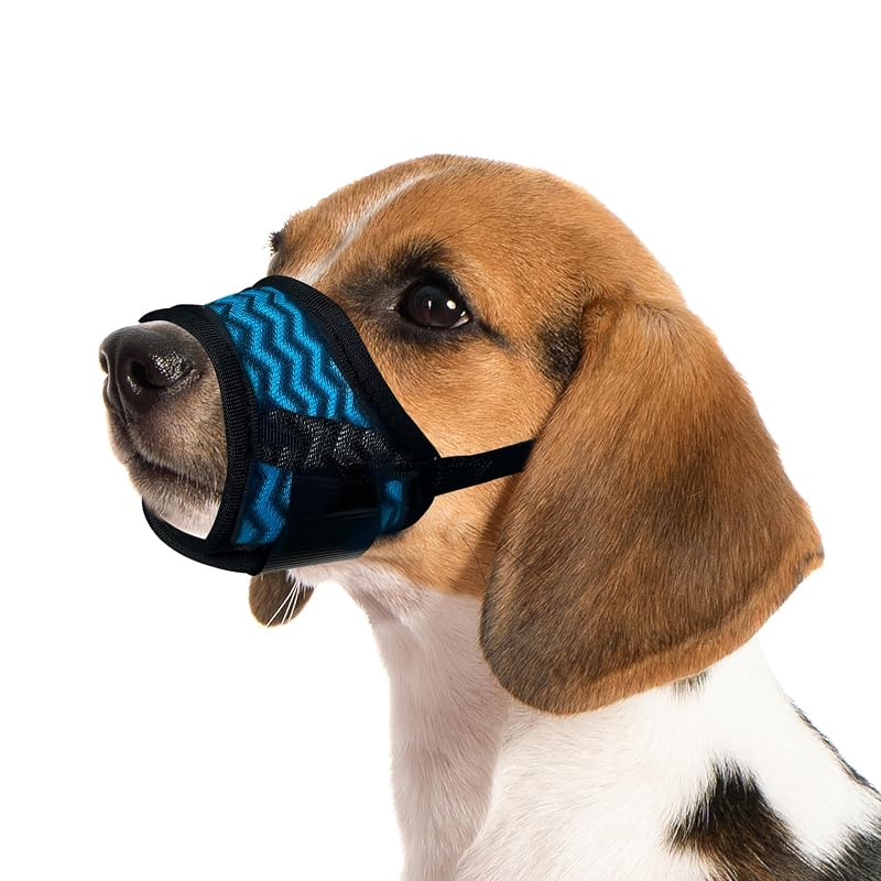 Focinheira para cães Royal Claws em plástico com alça ajustável, Azul, tamanho S (focinho de 11,94–14,99 cm)