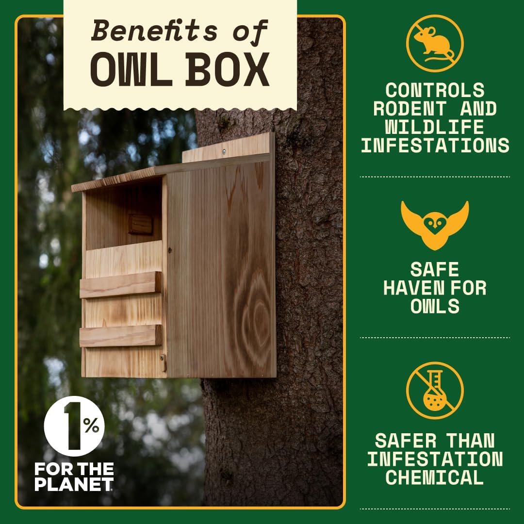 WildYard Owl House - Cedar Wood - Already Assembled - Prebuilt Barn Owl Nesting Box - Easy Hang & Clean - Includes Wood Shavings & Screws - Outdoor Wildlife Shelter