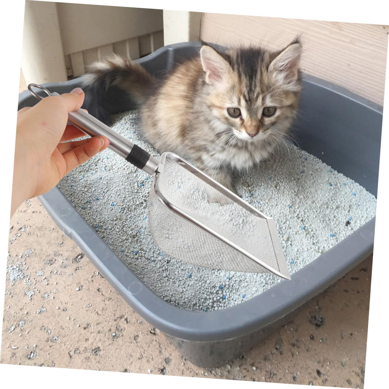 Cat Litter Scoop De Inoxidable para Reptiles y Mascotas para Limpieza Sustratos Diseño De Malla Filtrante Herramienta Reutilizable para Uso Doméstico