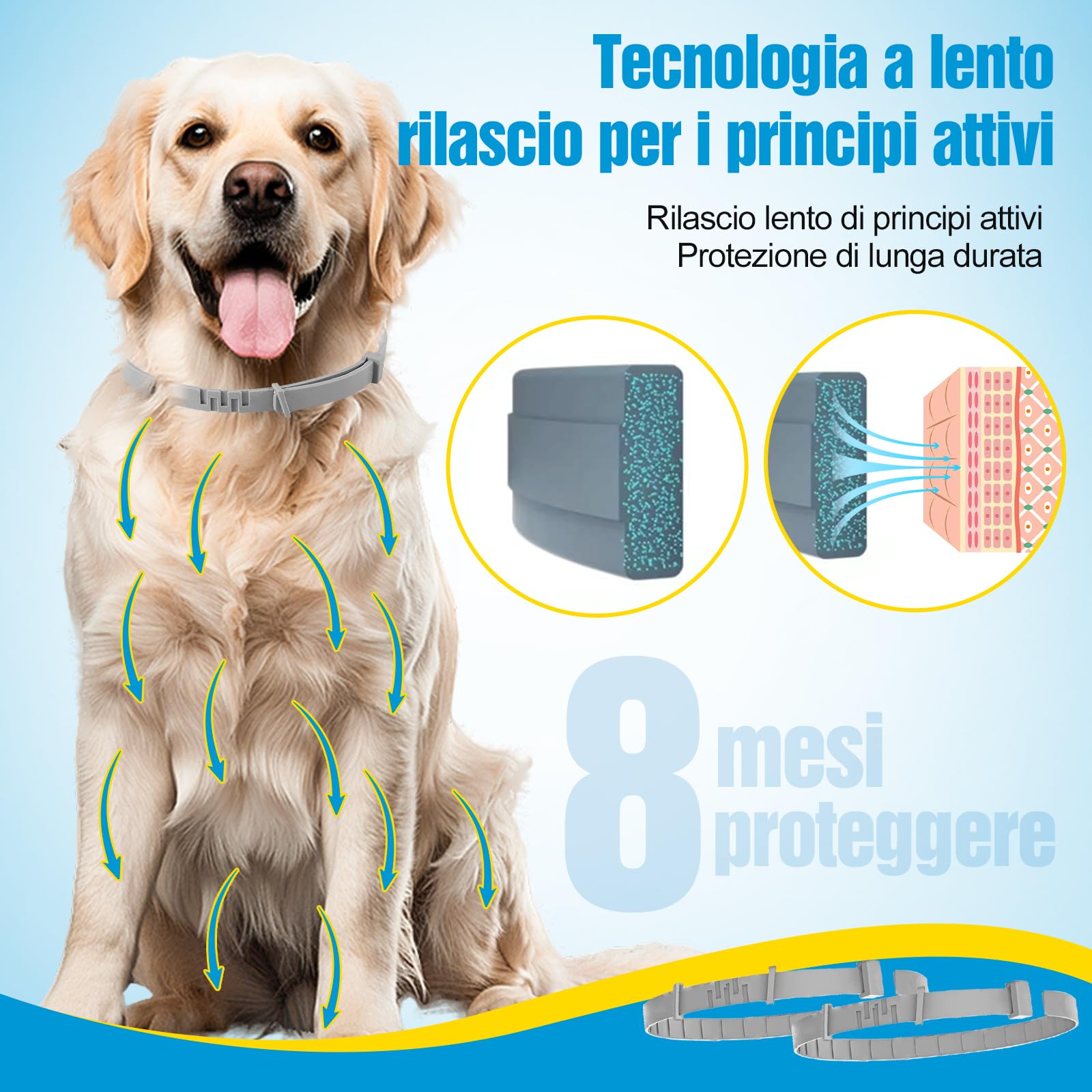2 Pezzi Antiparassitario Per Cani,Collare Antipulci per Cane,Realizzato Con Oli Essenziali Naturali, Sicuro ed Efficace, Universale per Cani e Gatti,Protegge per 12 Mesi (cani di grossa taglia)