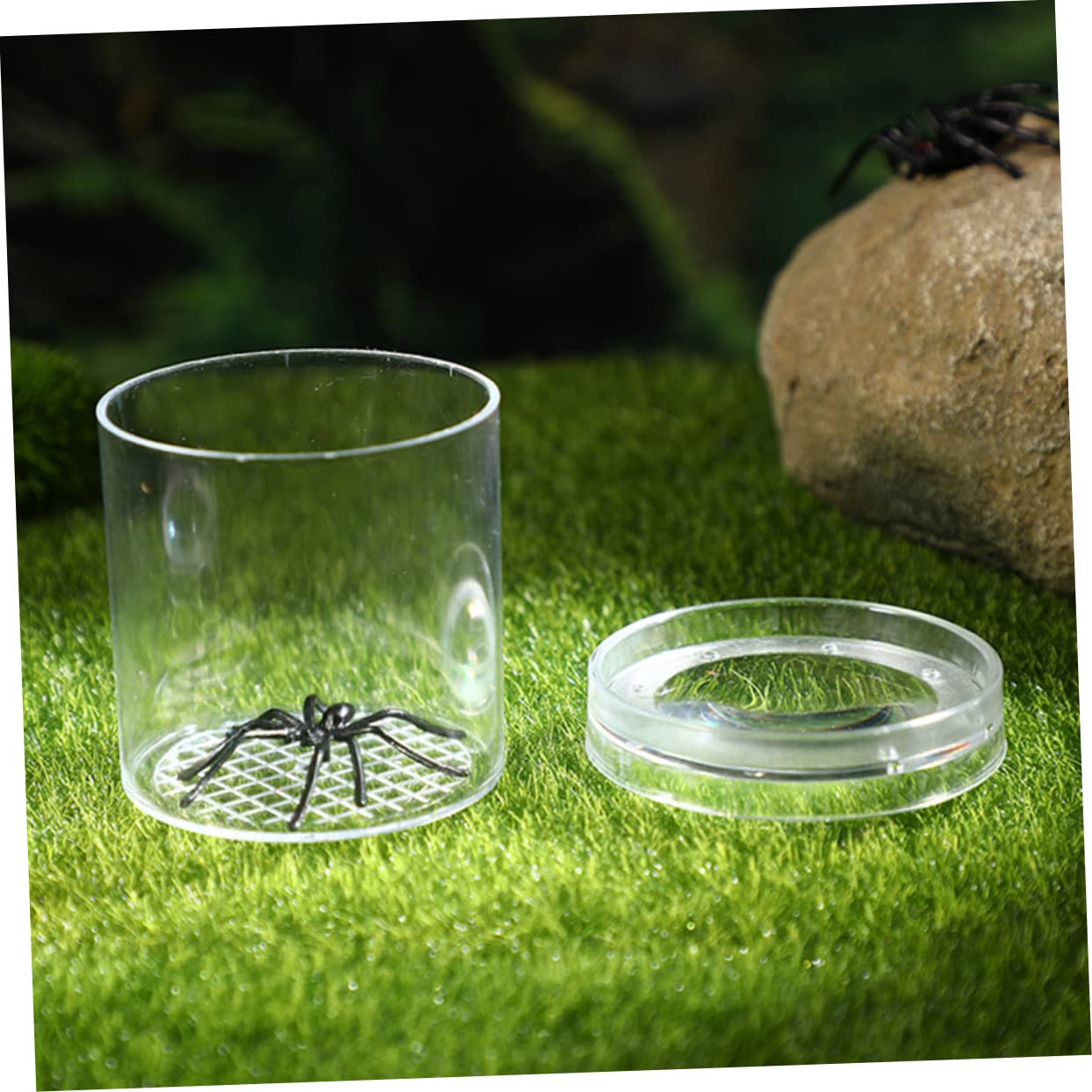 Gatuida Caja de Observación de Insectos Lupa y Rejillas de Medición, Plástico, Portátil, Orificios de Renovación de Aire para Niños y Aprendizaje