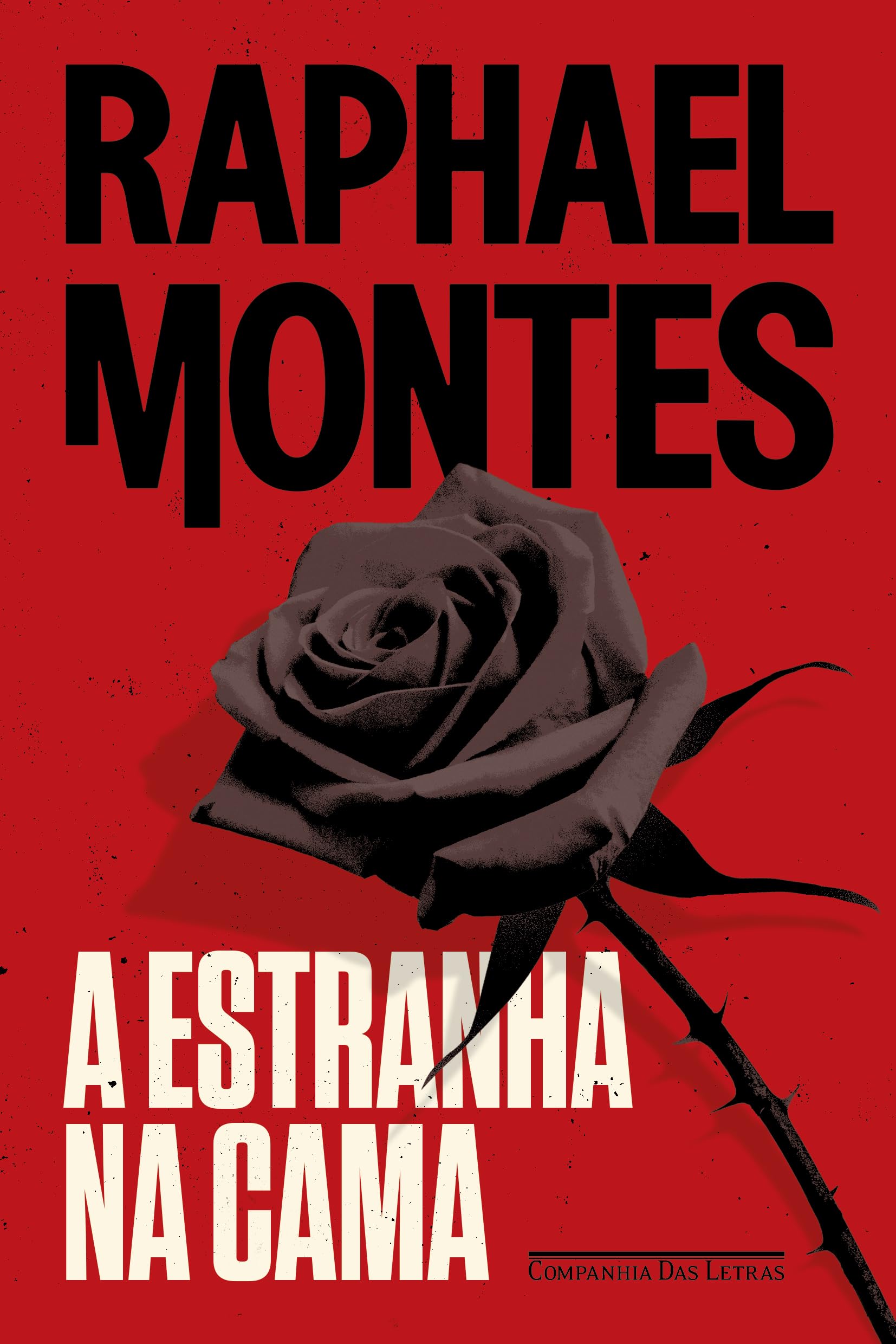 Capa do livro A Estranha na Cama