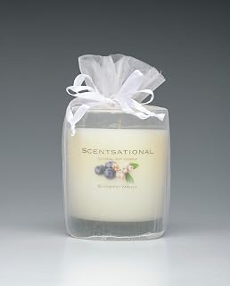 Scentsational Natural Candle, Blueberry Vanilla Scent, 11 oz, Gift Wrapped