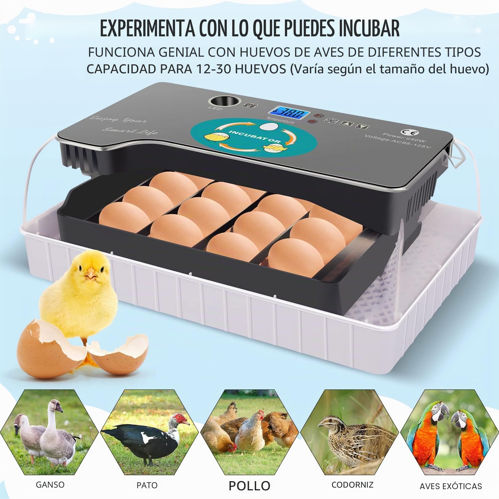 Incubadora totalmente automática para gallinas, huevos, 9-35 huevos, incubadora de huevos con iluminación LED eficiente para gallinas, pato, paloma, codorniz, pájaro