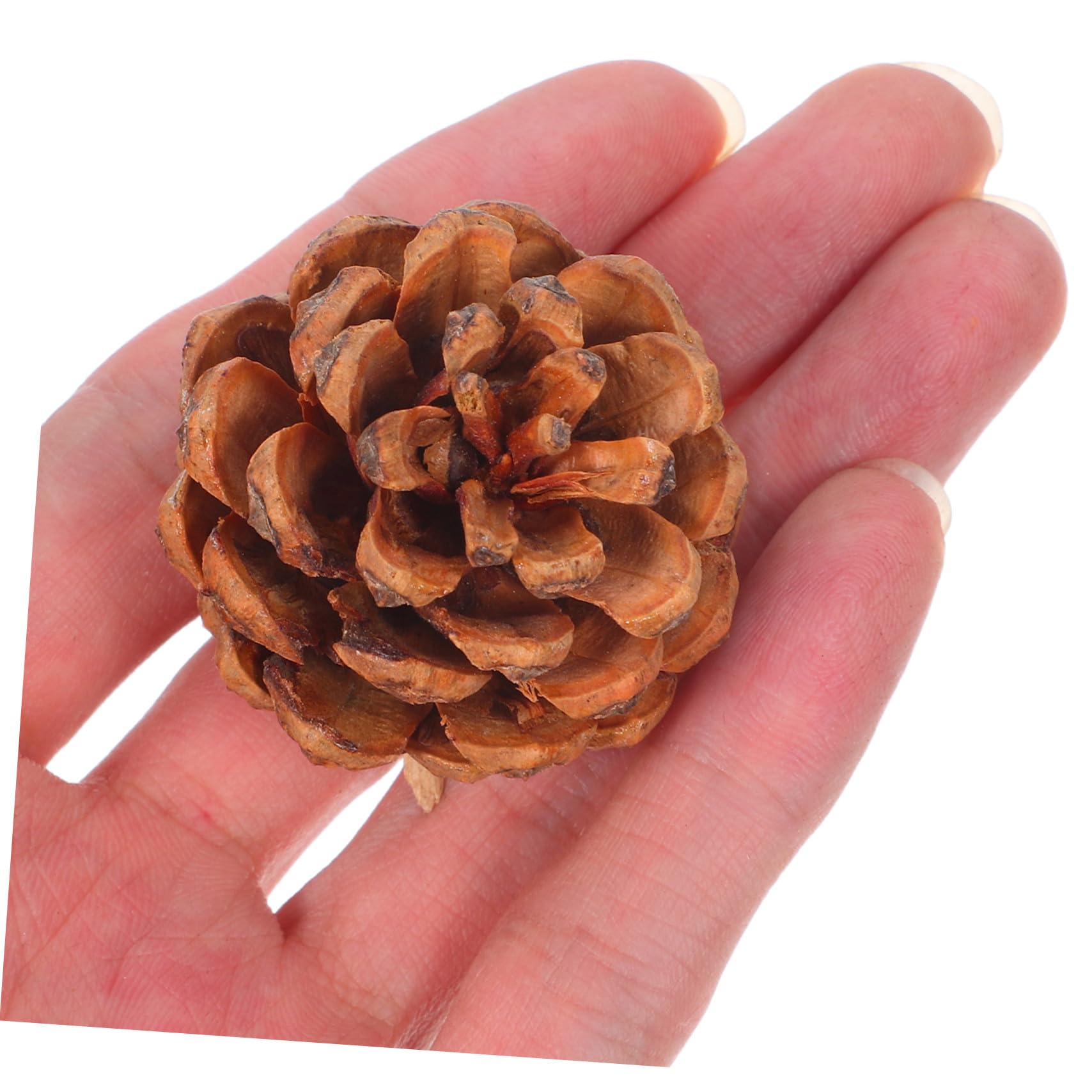TOPBATHY 130 Mini Piñas de Pino Auténticas para Adornos Rústicos de Temporada, Relleno para Jarrones y Adornos Navideños para Mesa de Centro