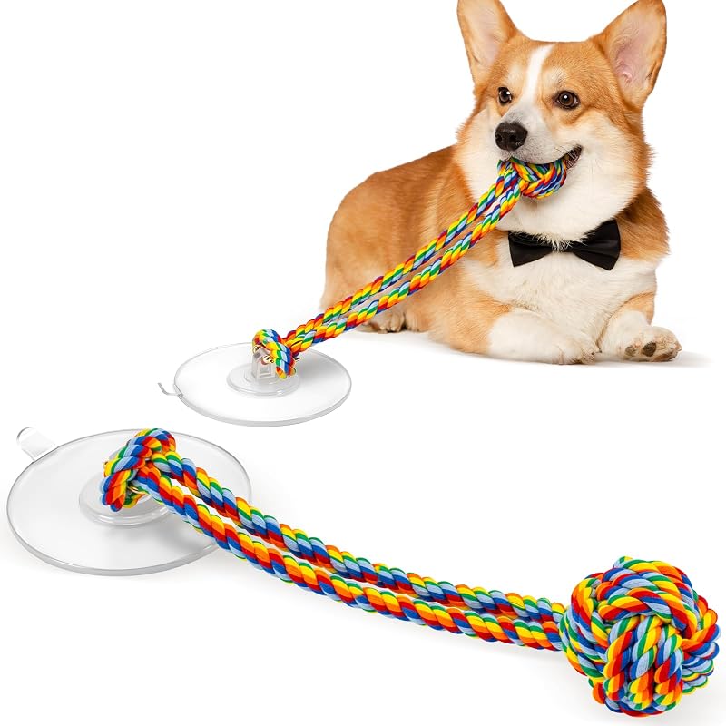 Brinquedo para cachorro pequeno de cabo de guerra com corda e ventosa Duocharm Rainbow – 1 unidade