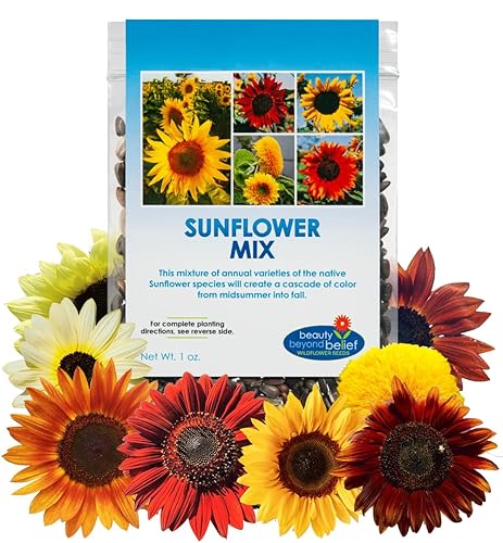 Mezcla de semillas de flores silvestres de girasol, 1 oz, paquetes de mezcla de semillas de flores silvestres de polinización abierta, sin OMG, sin disponible en Yaxa Costa Rica