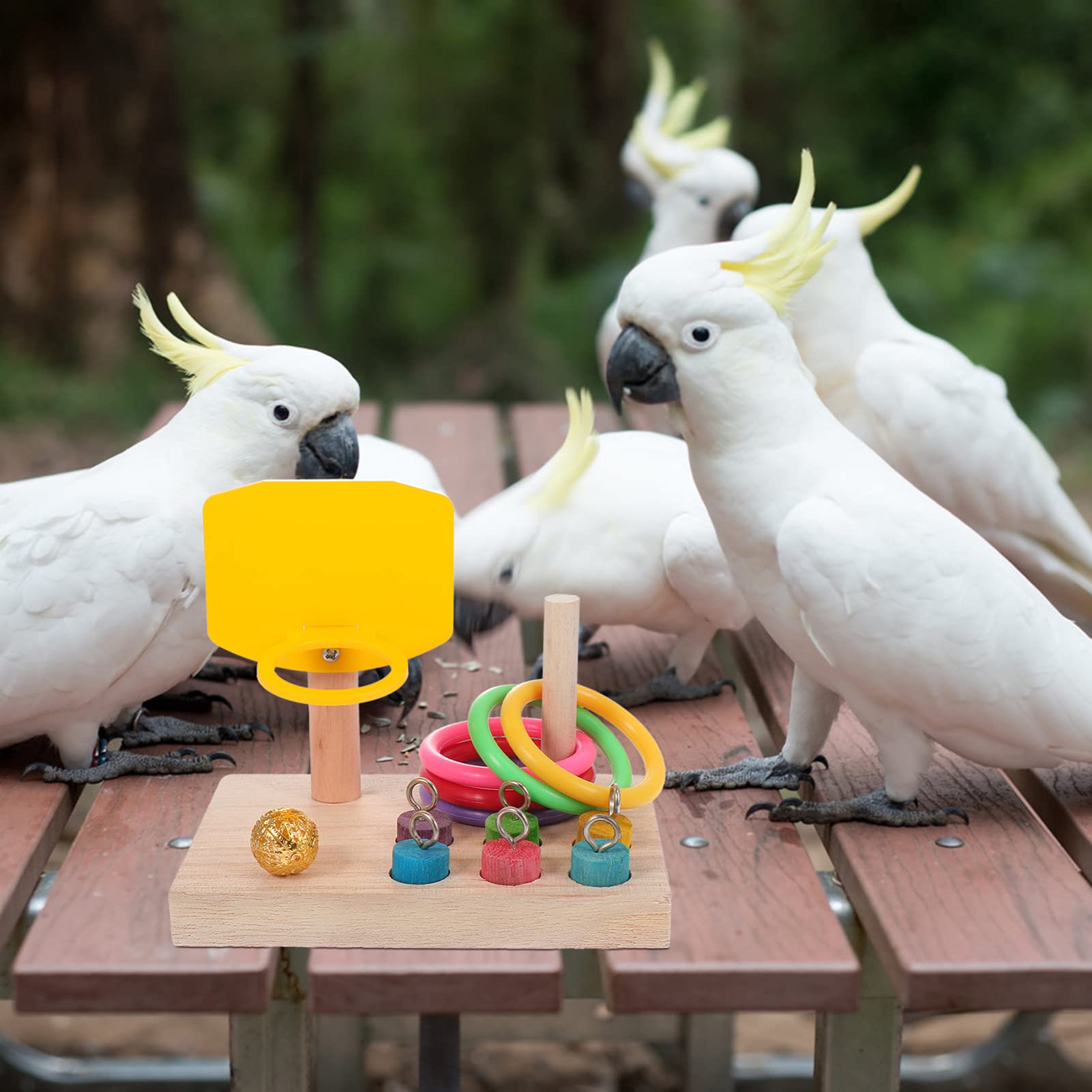 VANZACK 3juegos Juguete De Baloncesto para Perros y Pájaros Accesorio Interactivo De Entrenamiento para Periquitos y Loros Juguete De Entretenimiento Aros De Color y Material Resistente