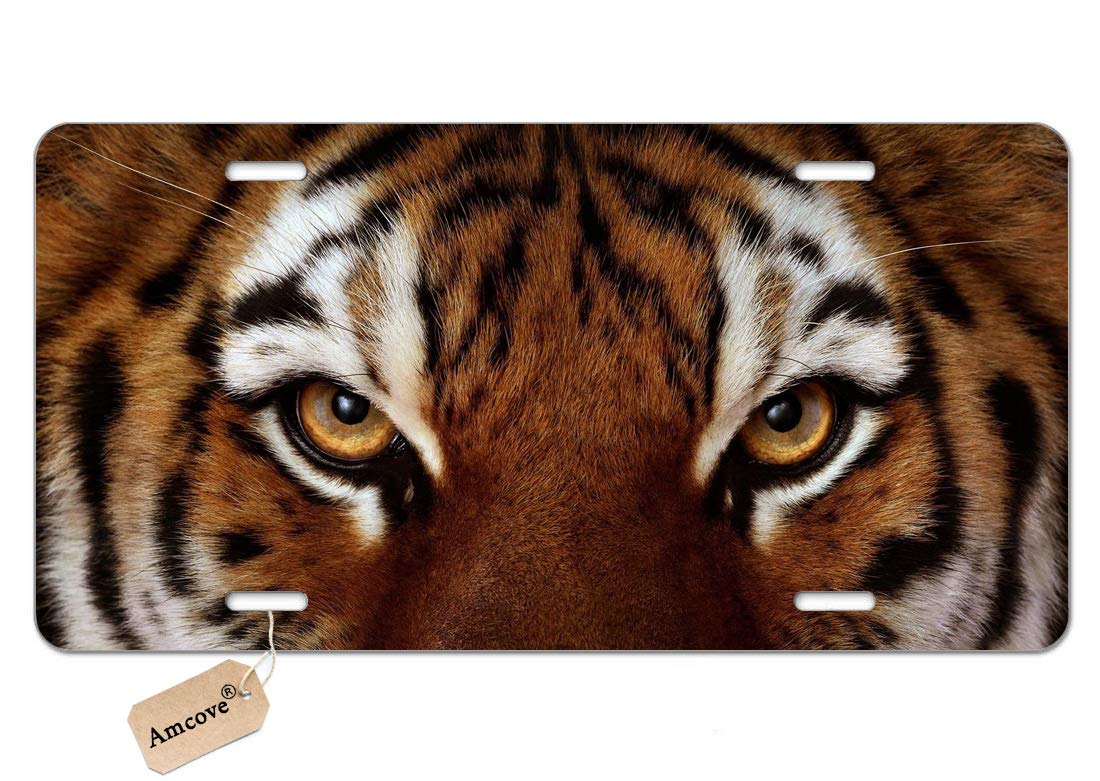 Amcove Custom License Plate Tiger Eyes Auto Tag for Car, Truck, RV, Trailer, 6 x 12 inches