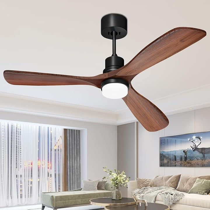 Transparent editorial object representing Home