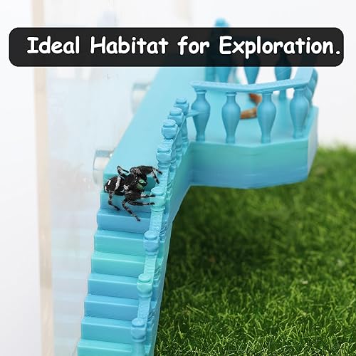 Jumping Spider Stairs, Magnetic Hidden Jumping Spider Habitat, Spider Jumping Climbing Platform for Small Reptile Enclosure Decorative Accessories (Pink Gold)(Pink Gold)