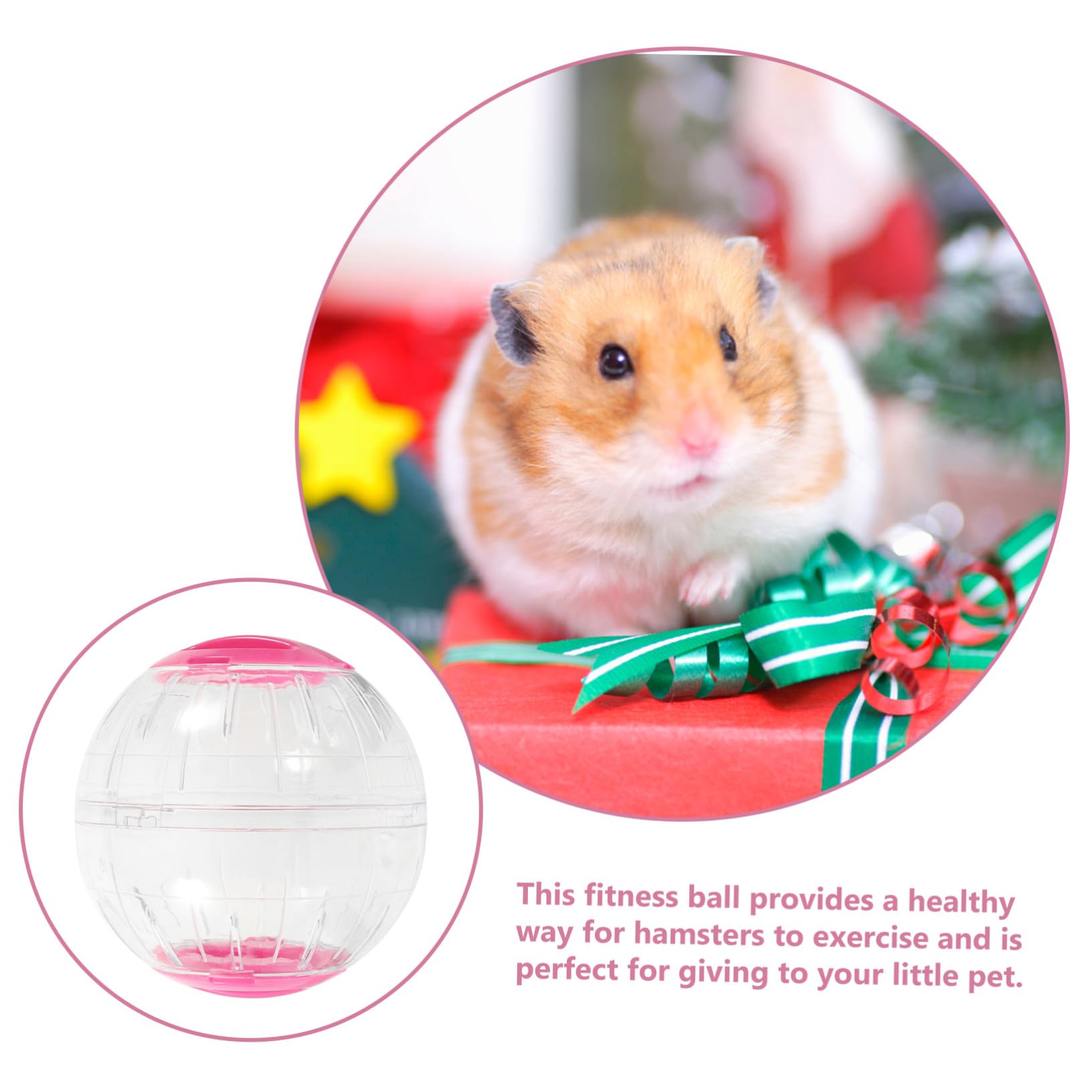 4 Pièces Boule Exercice Transparente pour Petits Animaux Bleues Roses Roue Silencieuse Portable pour Hamster Gerbille Souris et Petits Mammifères Activité pour Cage