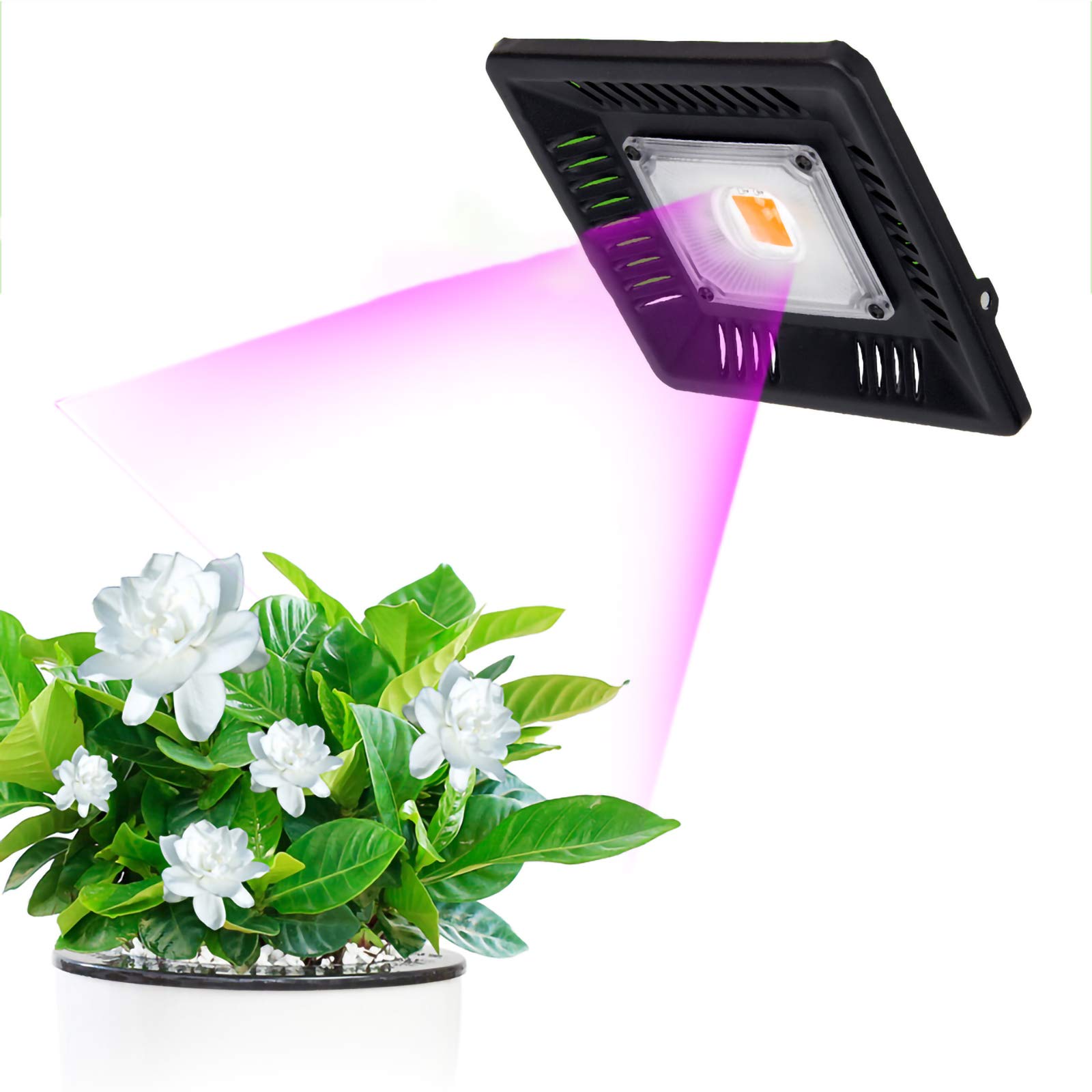 100W oświetlenie LED do uprawy pełnozakresowe oświetlenie do wzrostu roślin IP67 wodoodporna lampa COB do uprawy dla roślin kwiaty sadzonki rosnąca lampa fito