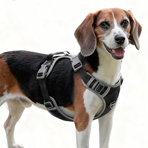 Arnes Perro Mediano con 4 Hebillas,Liberacion del Cuello