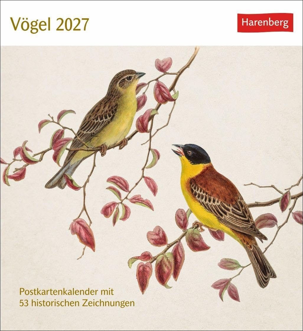 Vögel Postkartenkalender 2027 - Postkartenkalender mit 53 historischen Zeichnungen: Tischkalender mit Retro-Illustrationen. Schönes Geschenk für Kunst- und Naturliebhaber. 16 x 17,5 cm