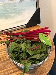 Customer Image, click to open customer review