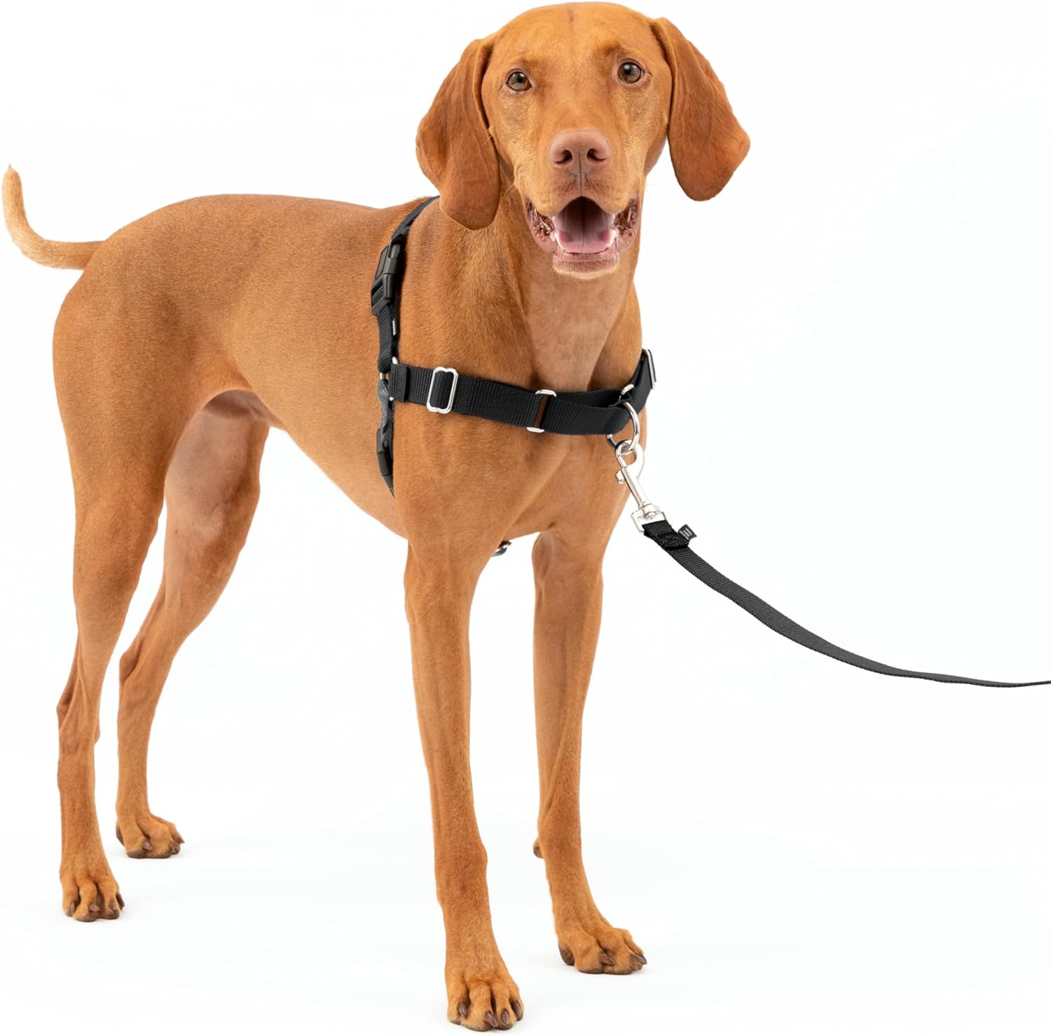 PetSafe Easy Walk No-Pull Dog Harness – The Ultimate Harness to Help Stop Pulling – Take Control & Teach Better Leash Manners – Helps Prevent Pets Pulling on Walks – Medium, Charcoal/Black PetSafe Easy Walk No-Pull Dog Harness – The Ultimate Harness to Help Stop Pulling – Take Control & Teach Better Leash Manners – Helps Prevent Pets Pulling on Walks – Medium, Charcoal/Black