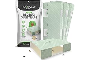 Bed Bug Interceptors 12 Pack: Protection Against Creepy Crawlies