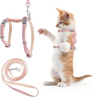 TIESOME Cat Harness and Leash in Pakistan