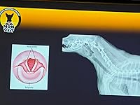 Review Image by fernando peralta aguilar fernando peralta aguilar