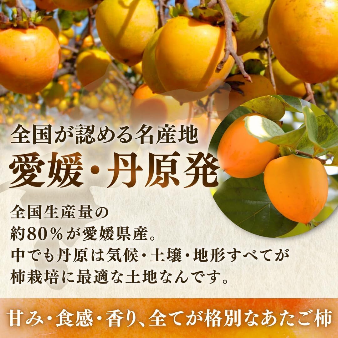 Amazon.co.jp: 柿 かき あたご柿 渋柿 干柿用渋柿 《佐竹果樹園の